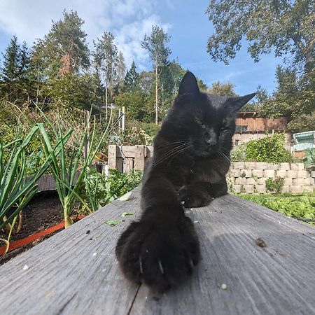 Die Labsalerie - Urlauben Am Woerthersee Pörtschach am Wörthersee Eksteriør bilde